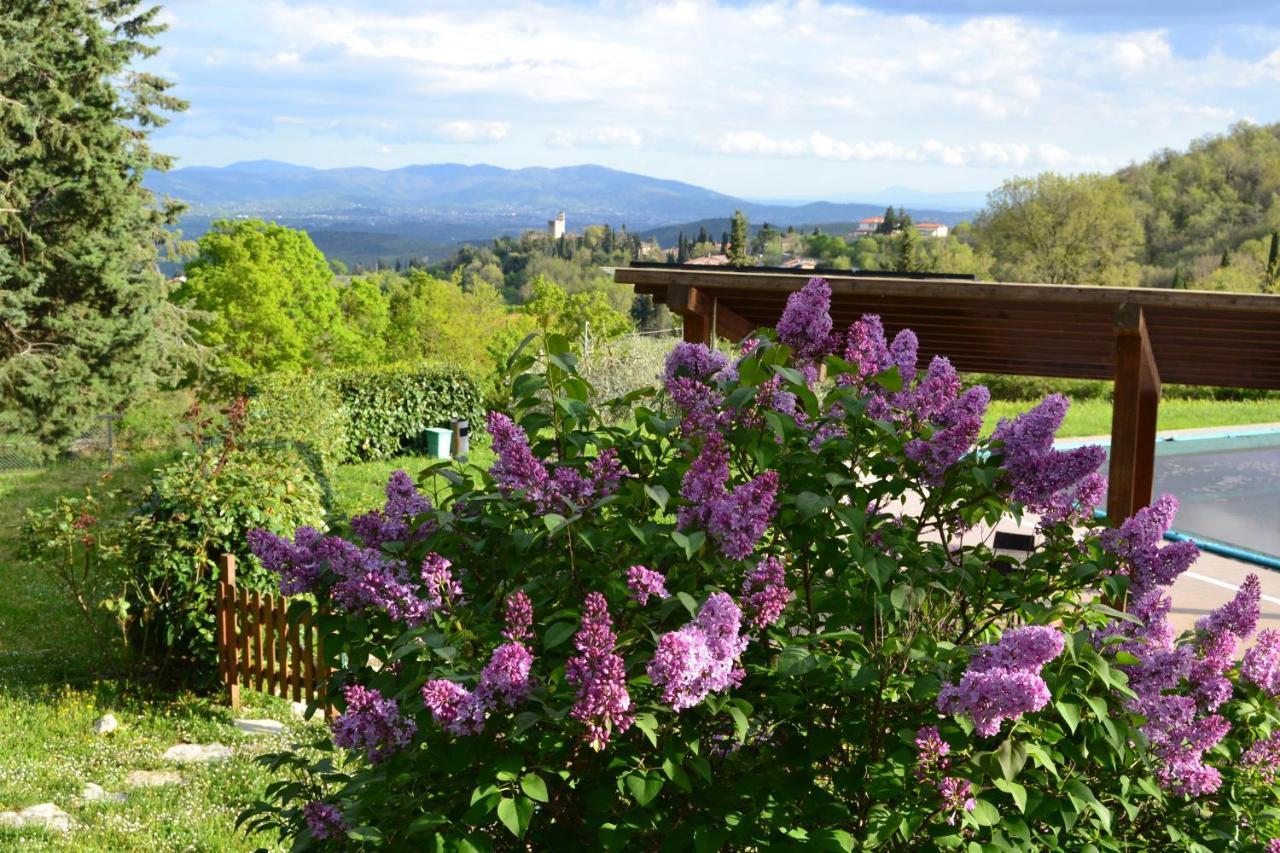 Piccolo Ulivo Ranch Capolona Exterior photo